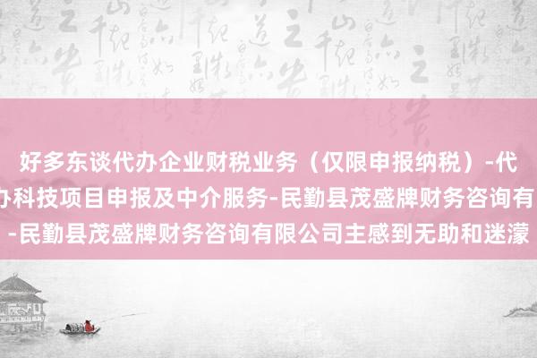 好多东谈代办企业财税业务(仅限申报纳税)-代办企业注册及年报-代办科技项目申报及中介服务-民勤县茂盛牌财务咨询有限公司主感到无助和迷濛